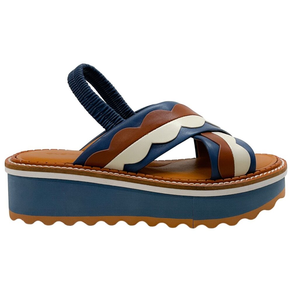 Robert Clergerie Blue / Tan Platform Sandals - Picture 2 of 6
